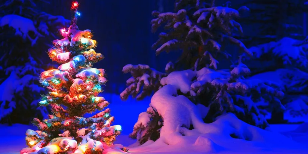 The Essence of Christmas